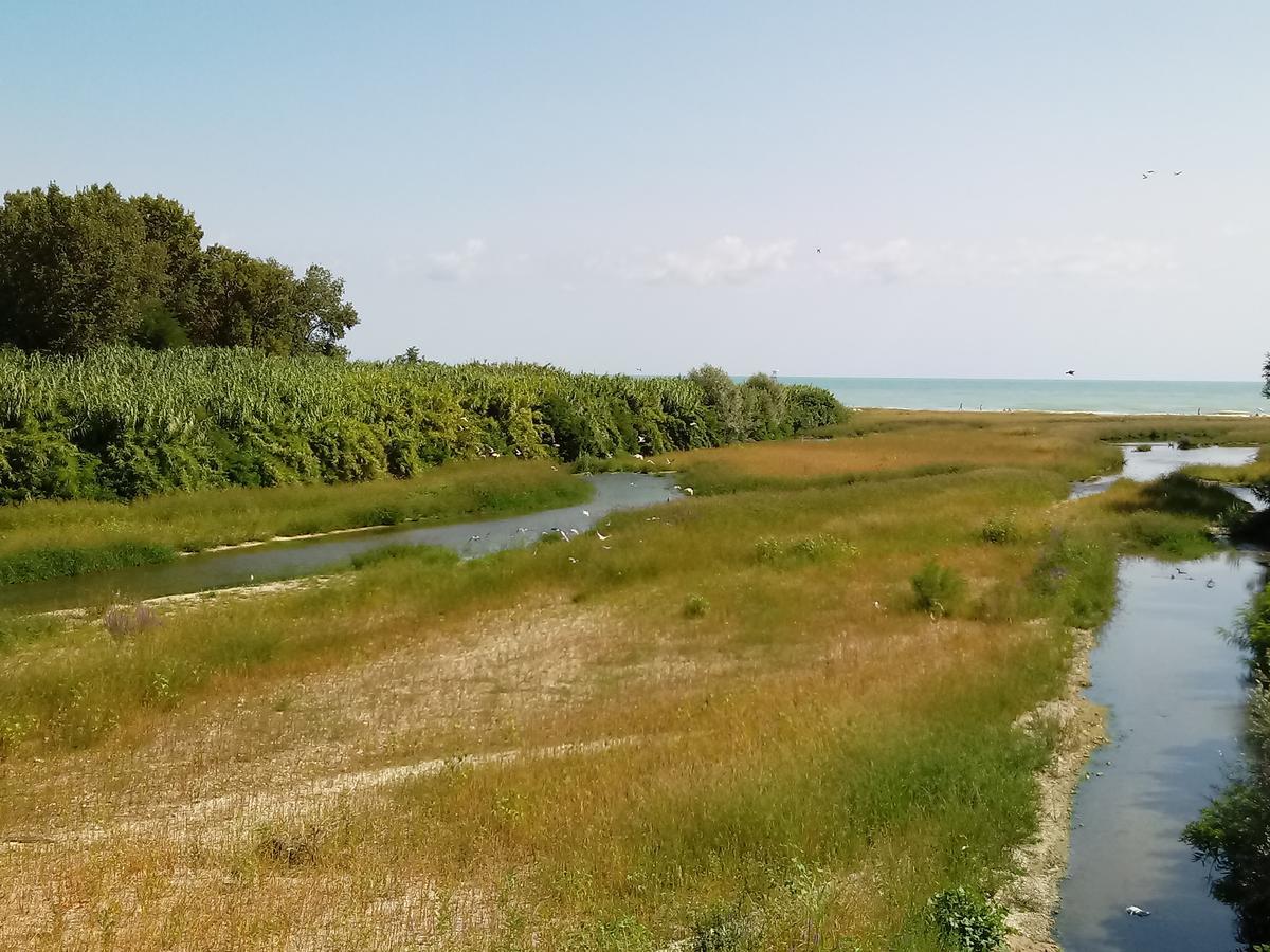 SantʼElpidio a MareResidenza Corso Baccio公寓 外观 照片