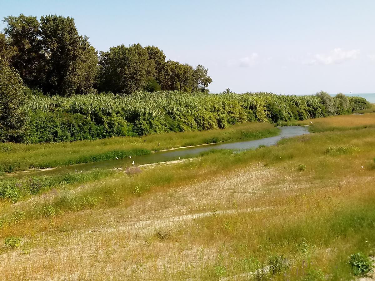 SantʼElpidio a MareResidenza Corso Baccio公寓 外观 照片